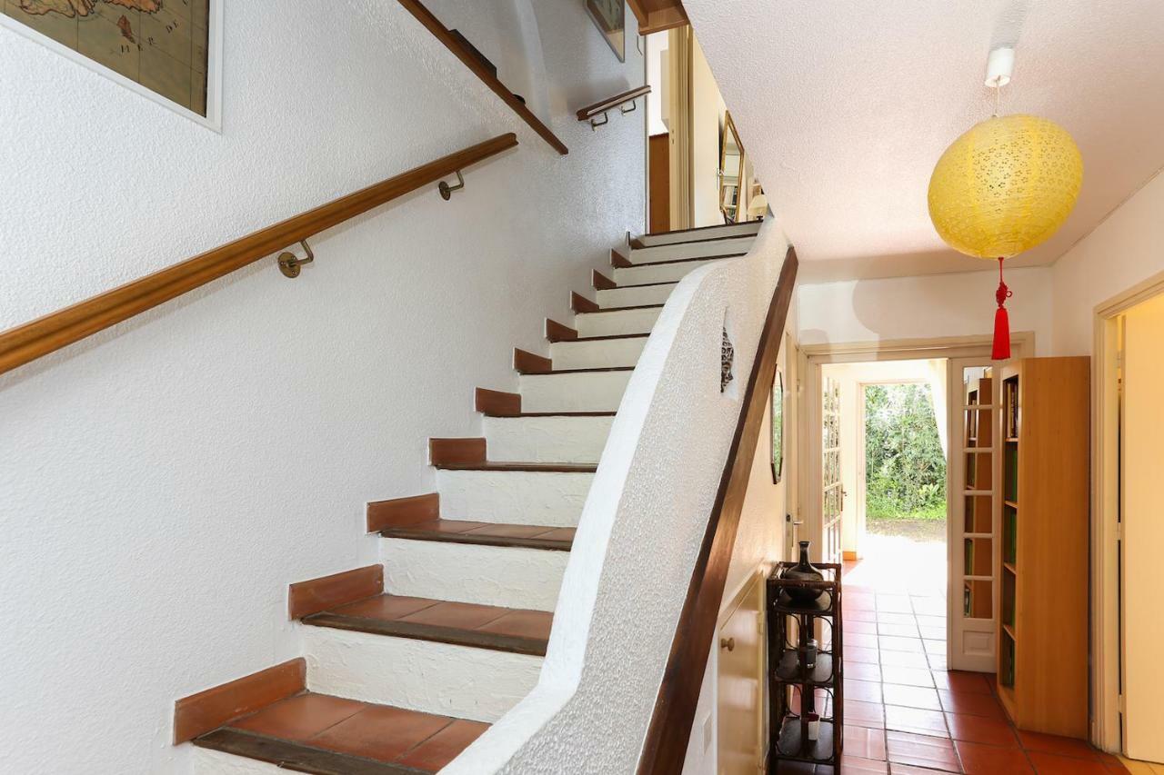 Suquette Charming Provencal House In Antibes With Nice Terrace, Garden And Pool Access Eksteriør billede